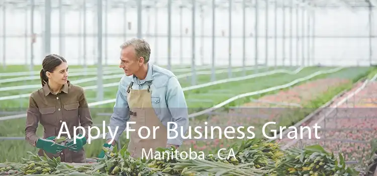 Apply For Business Grant Manitoba - CA